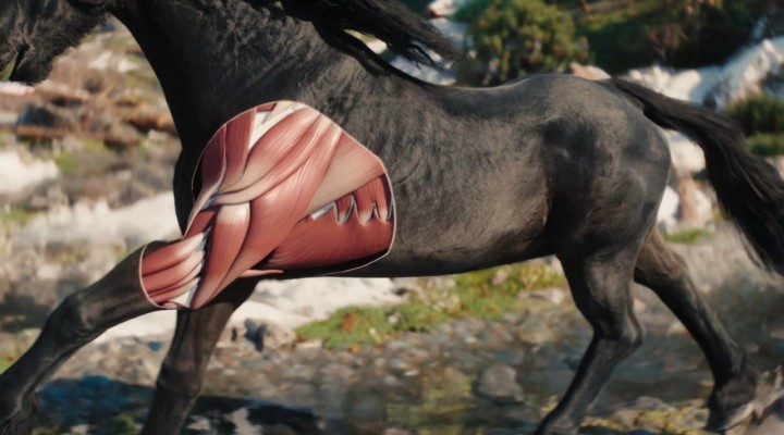 استودیو CD Projekt RED فاش کرد که برای ساخت The Witcher 4 از حیوانات واقعی استفاده کرده است:
